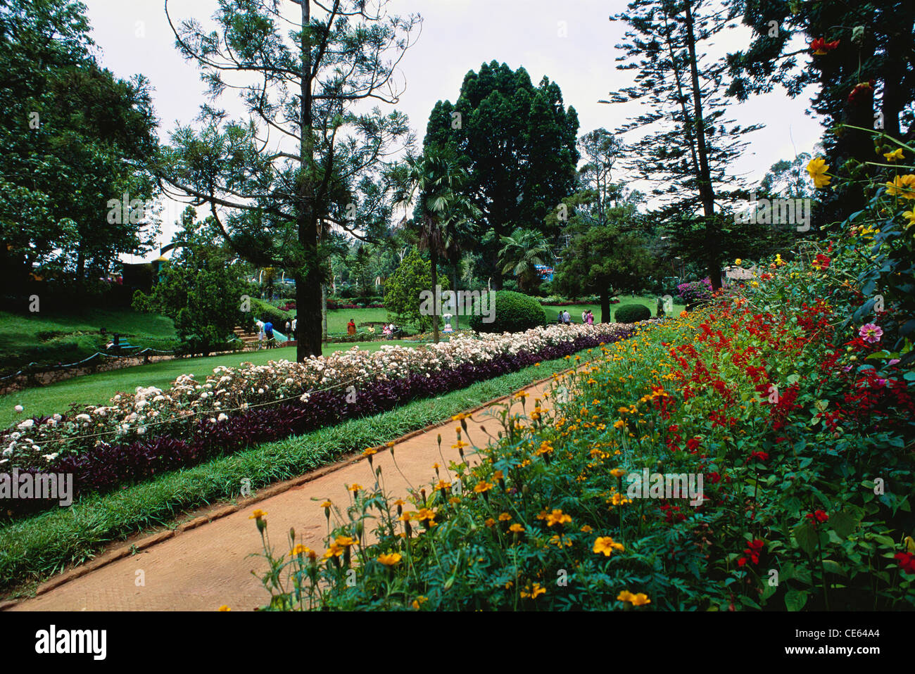 Sim's park garden flower beds trees walking path Coonoor Tamil Nadu India Stock Photo