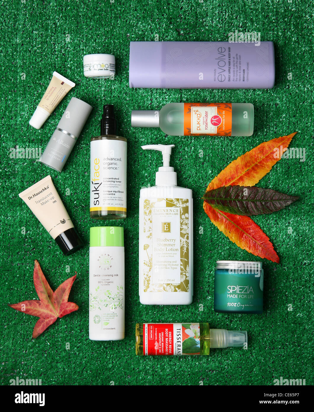 Beauty Still-Life Stock Photo