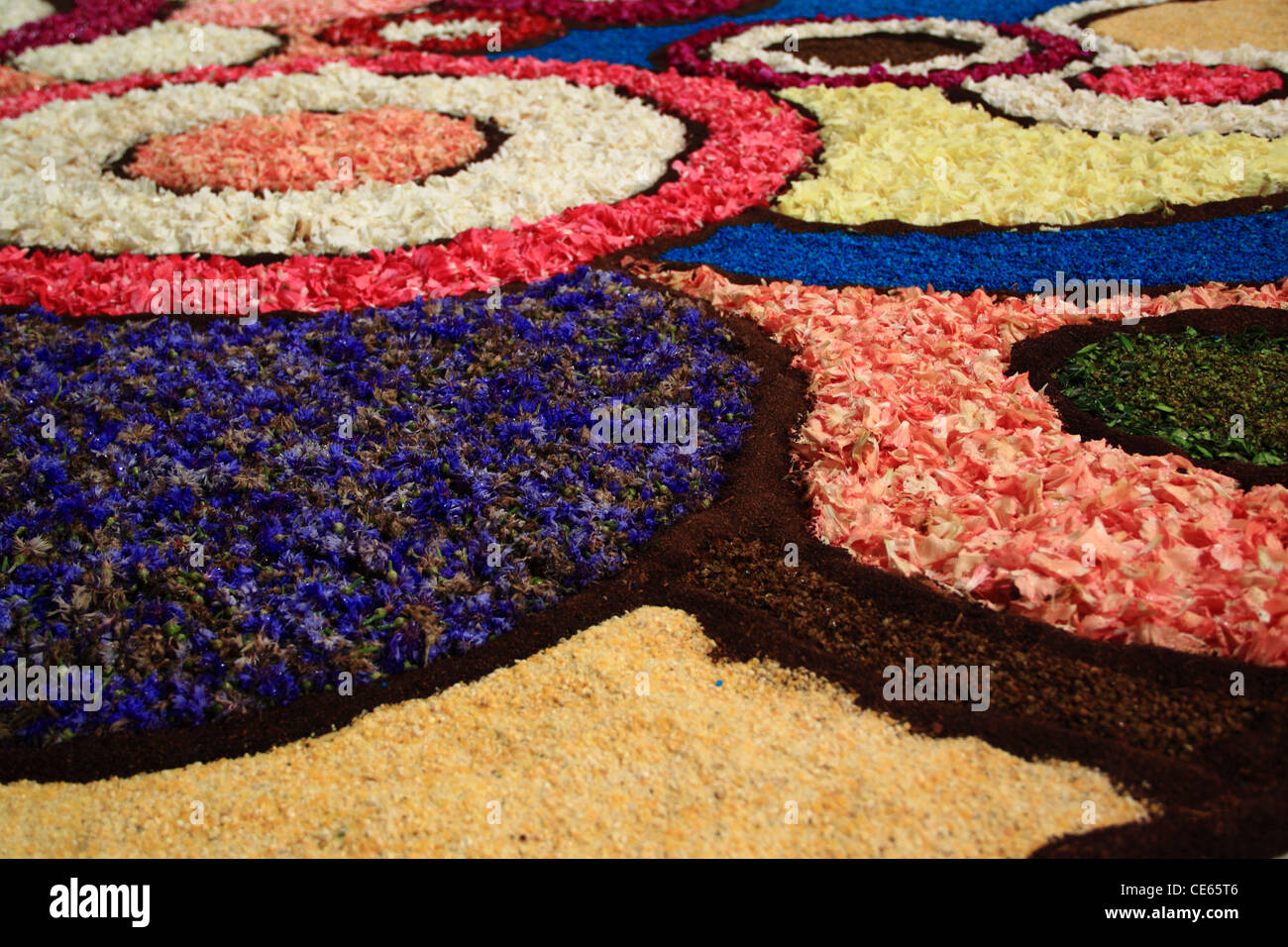 Colorful shapes drawn with petals during the Infiorata Festival in Genzano (Italy) Stock Photo