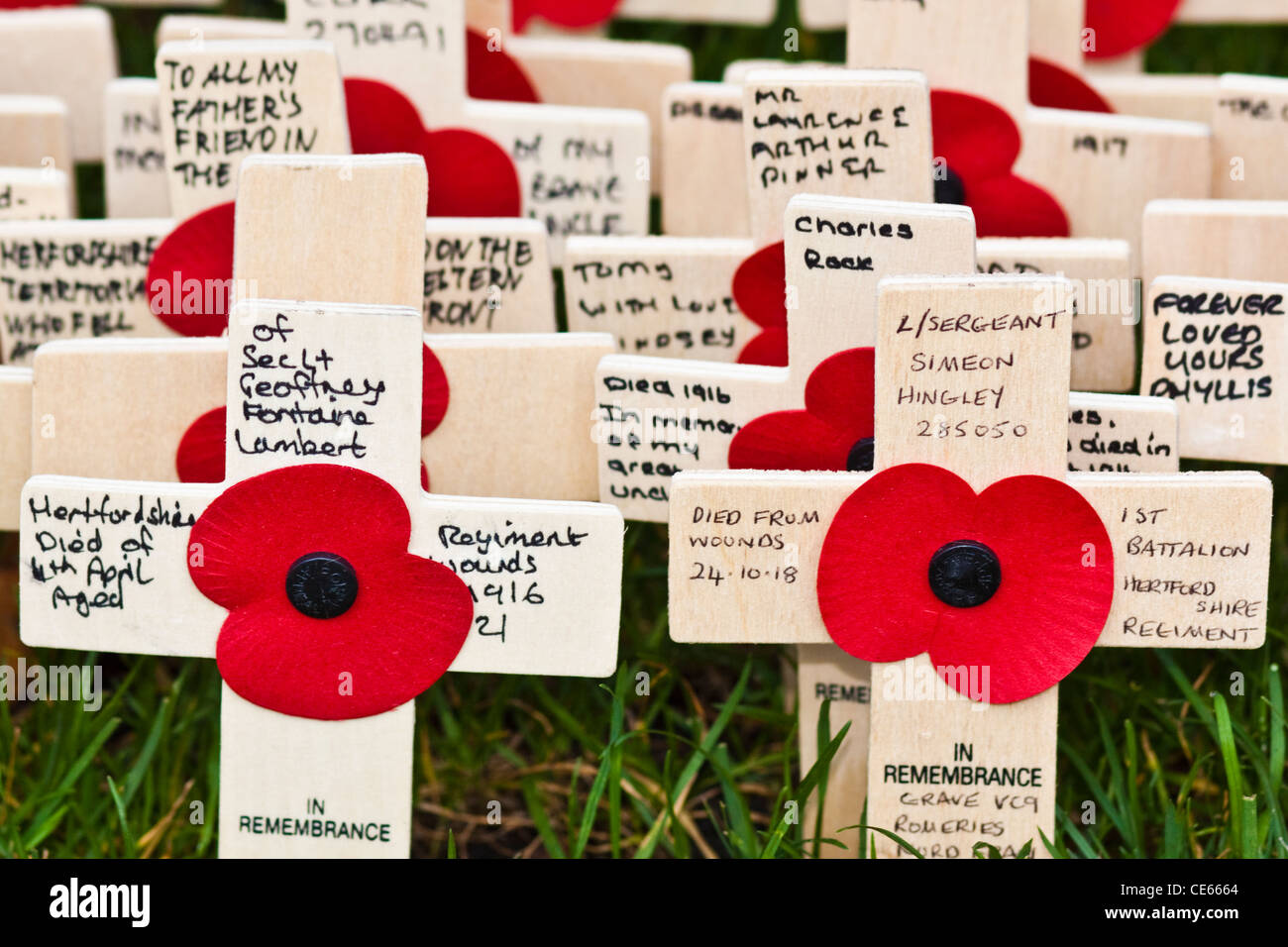 Remembrance Sunday London Stock Photo Alamy