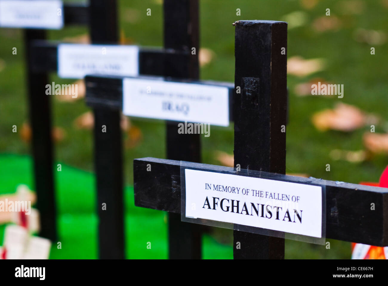Remembrance Sunday London Stock Photo Alamy