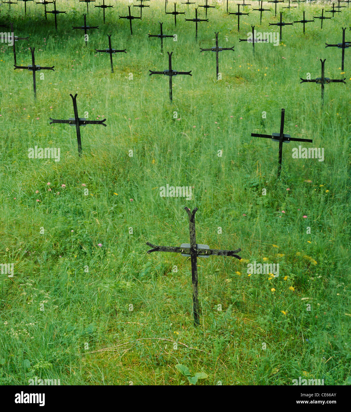 World War 1 military graves in the Austrian-Hungarian cemetery near Bovec, Primorska, Slovenia. Isonzo Front Stock Photo