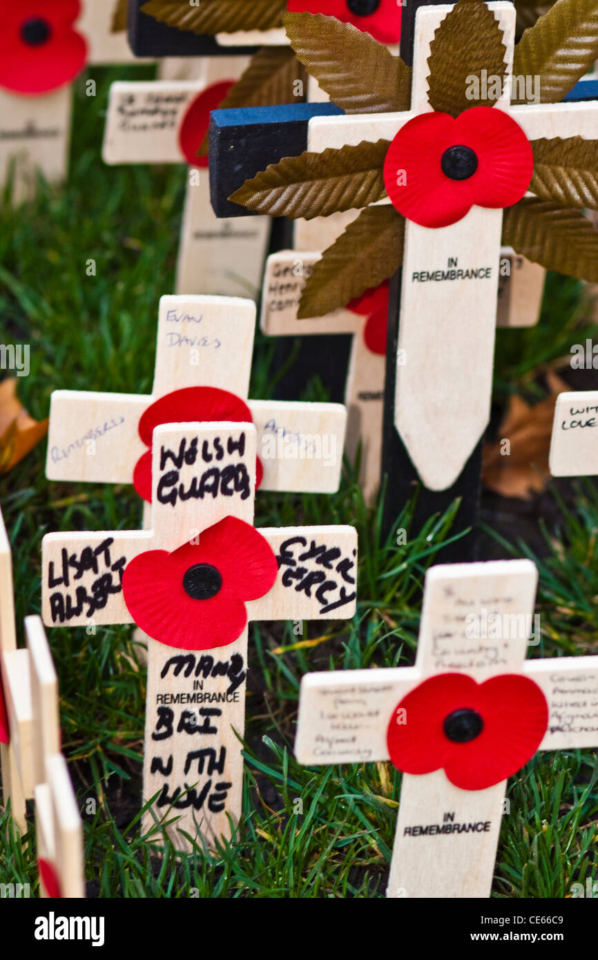 Remembrance Sunday London Stock Photo Alamy