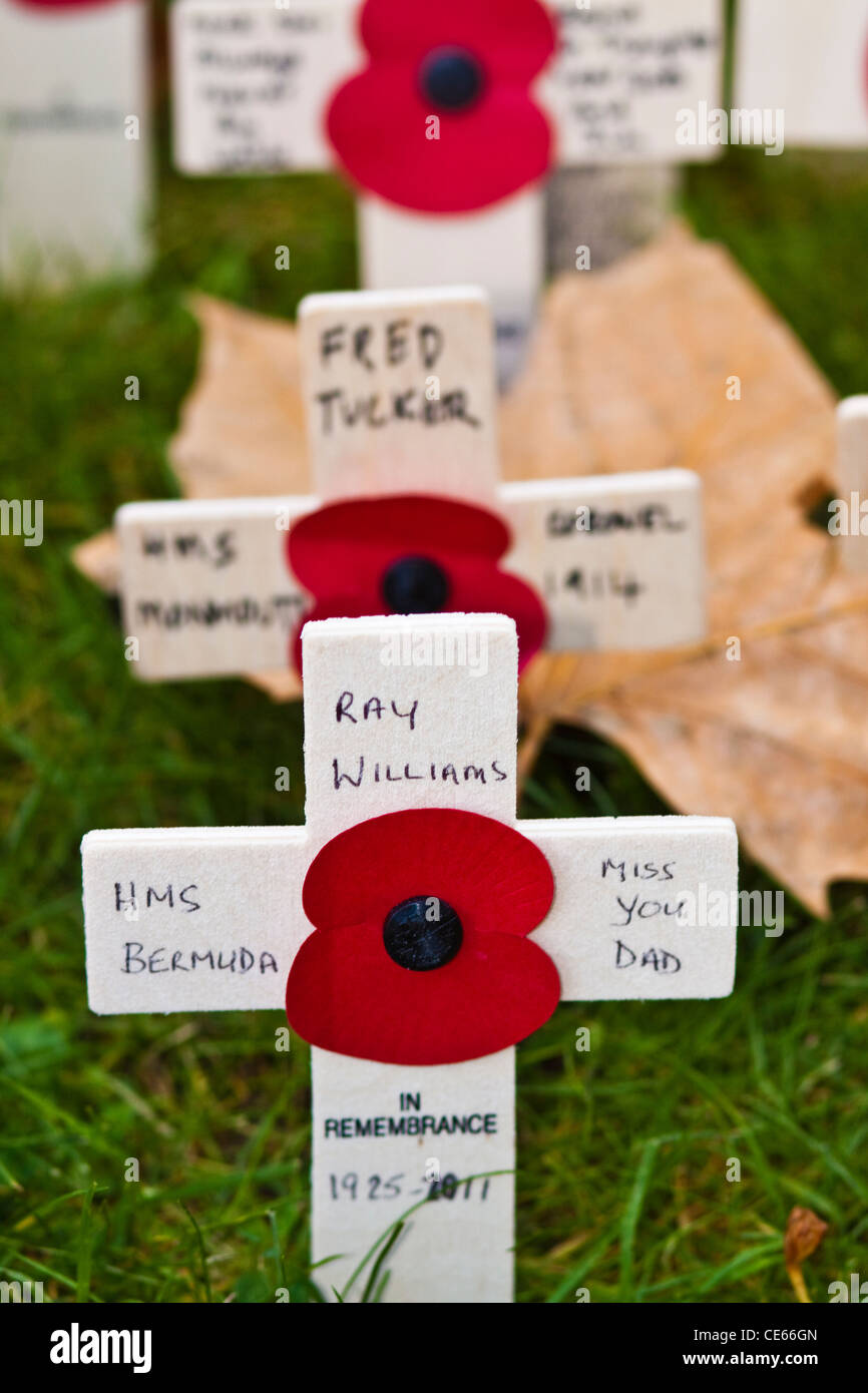 Remembrance Sunday London Stock Photo Alamy