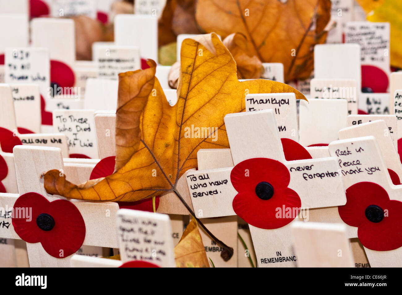Remembrance Sunday London Stock Photo Alamy