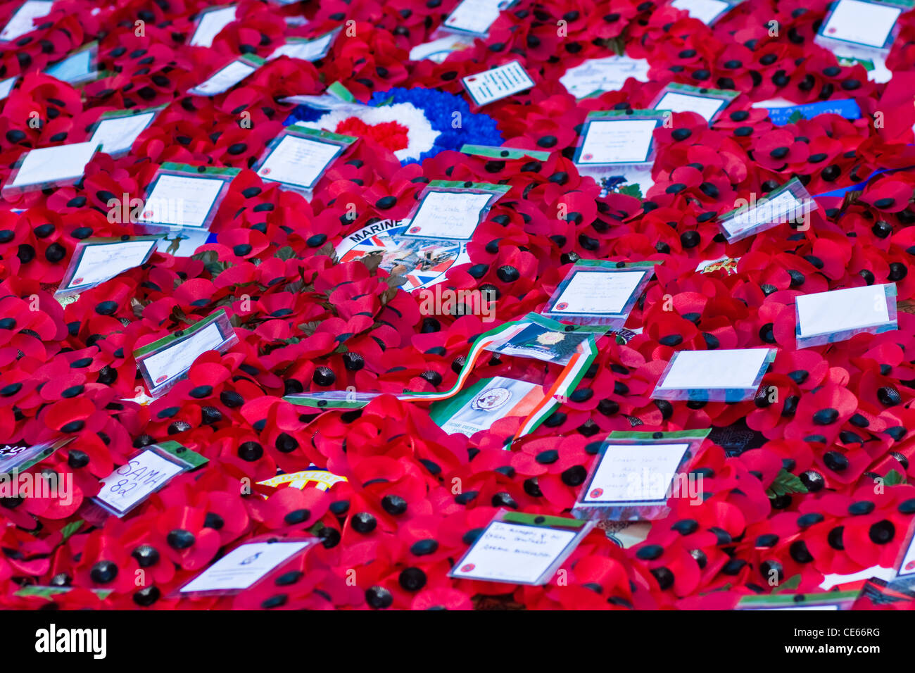 Remembrance Sunday London Stock Photo Alamy