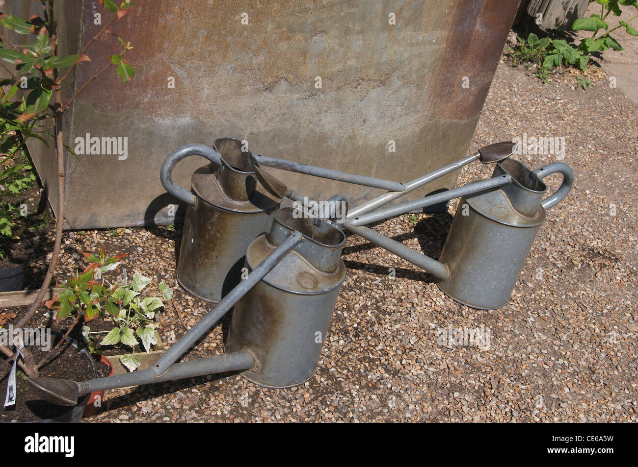 Galvanised Steel Watering Cans Stock Photo Alamy