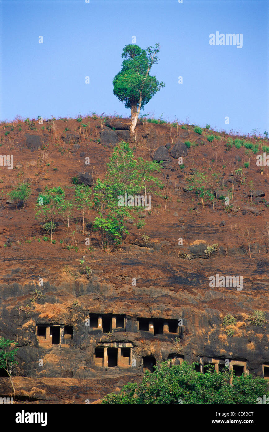 Buddhist rock cut caves on mountain side at Village Gandharpale ; Mahad ...