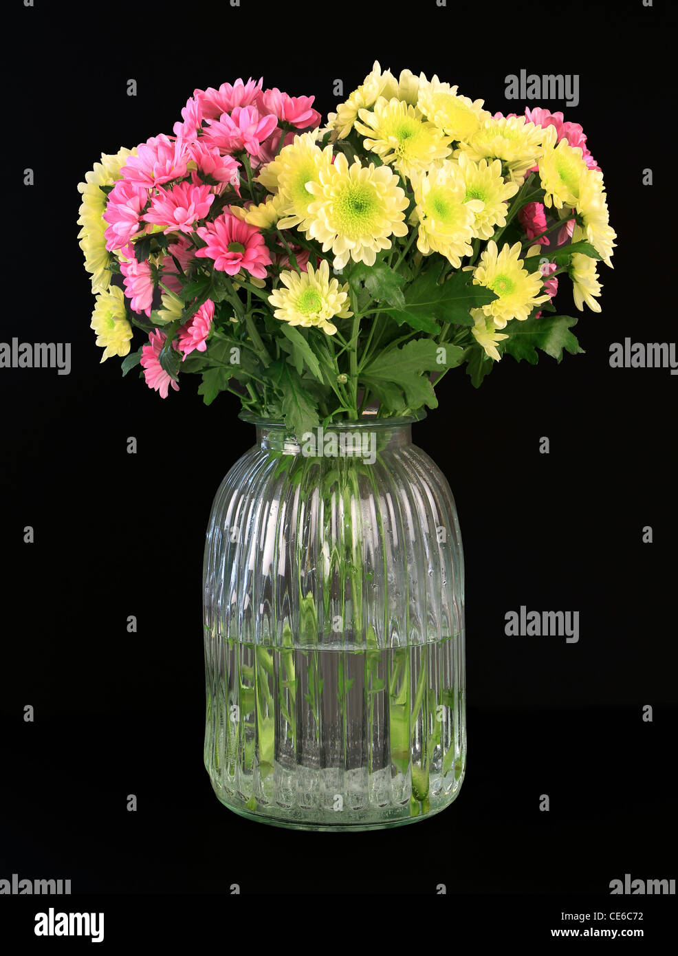 Vase of flowers on black background Stock Photo