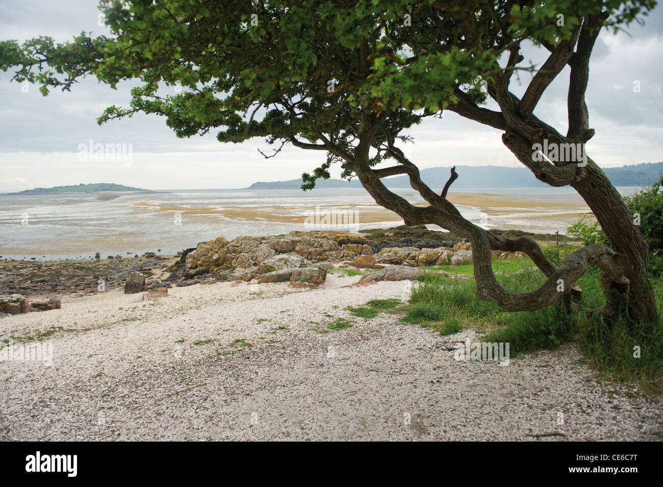 A view from the beach at Kippford Dumfries & Galloway Scotland UK Stock Photo