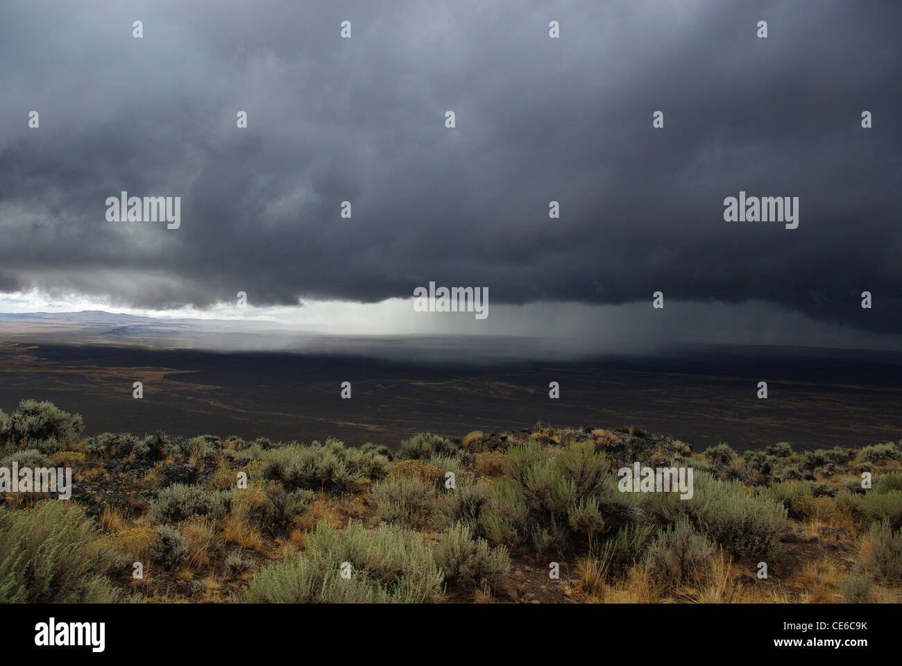 Rain storm desert hi-res stock photography and images - Alamy