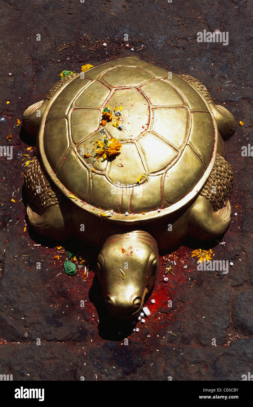 Brass tortoise idol sculpture ; Saptashrungi temple ; Saptashringi