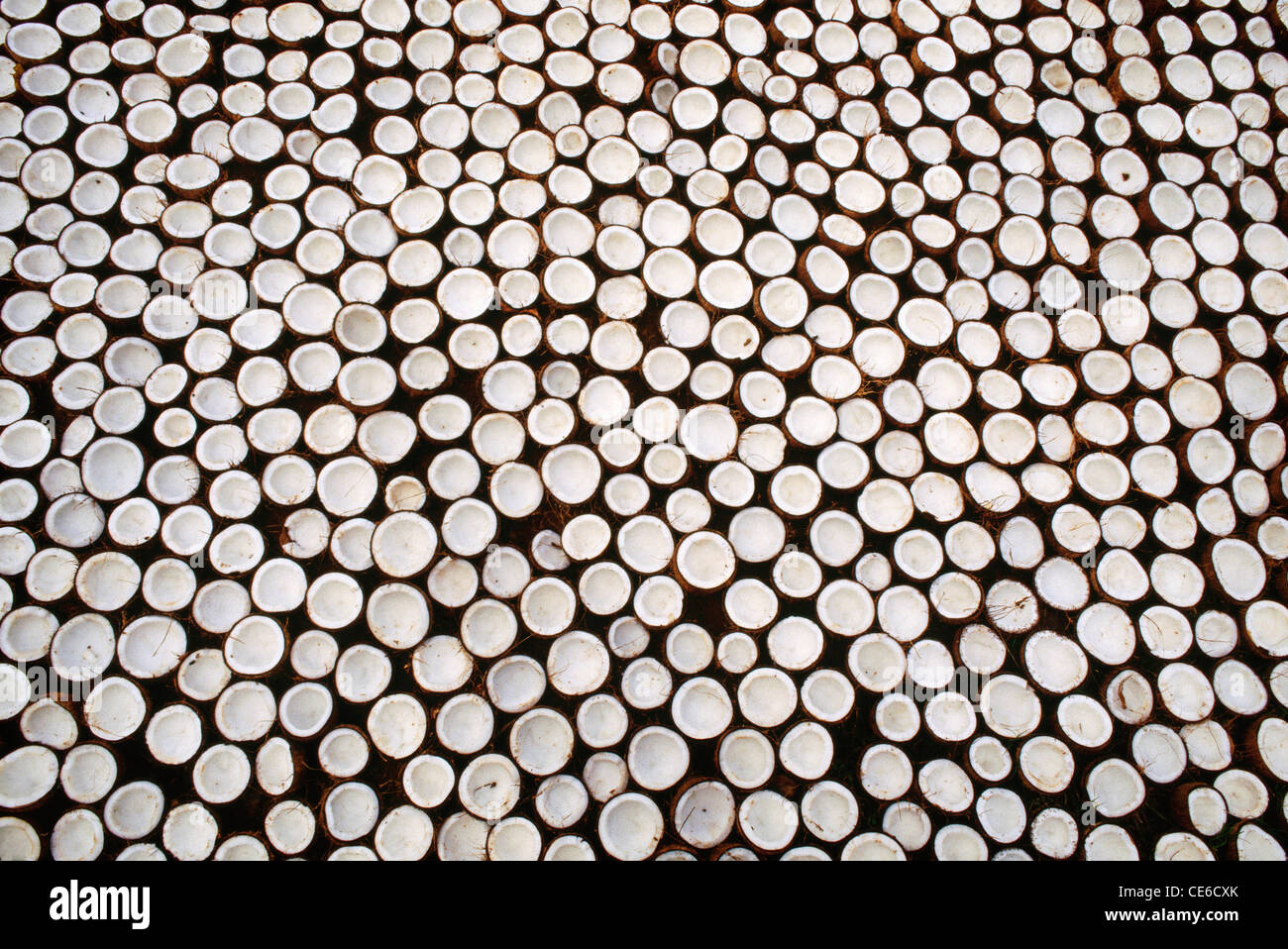 Drying coconuts for extracting cooking oil ; kerala ; india ; asia