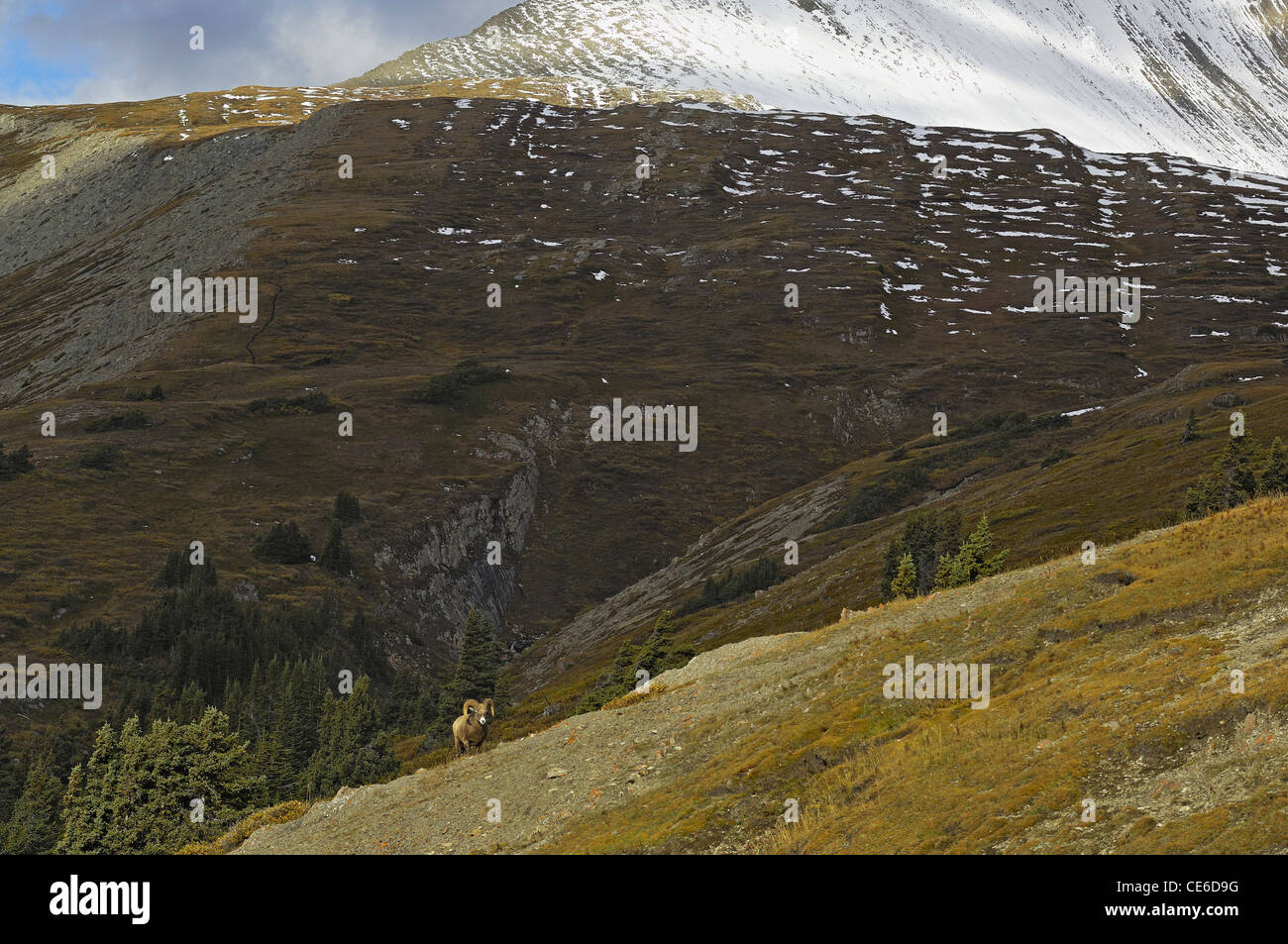 Canadian landscape painting hi-res stock photography and images - Alamy