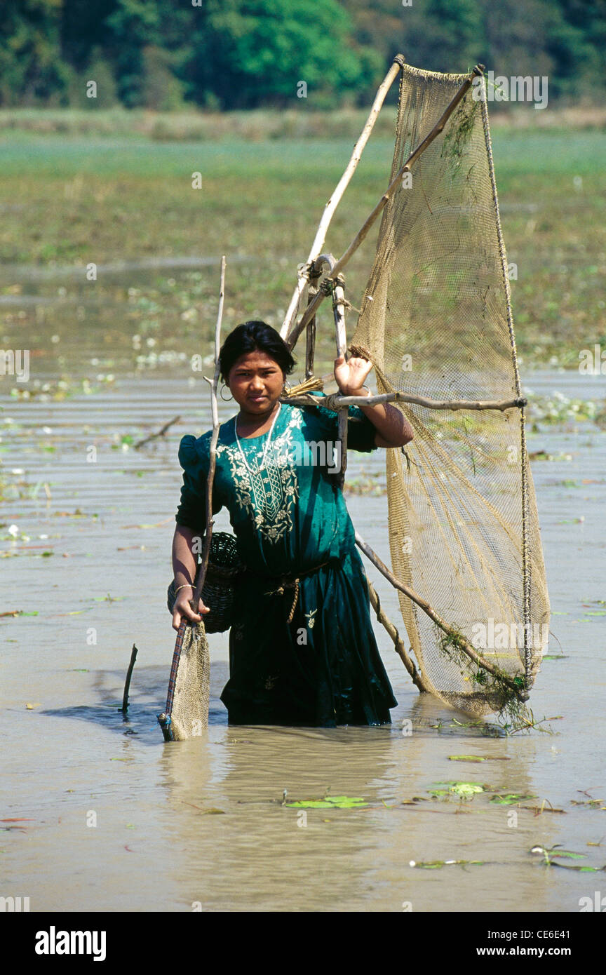 Tharu tribe tribal woman fishing ; Dudhwa ; Uttar Pradesh ; India Stock