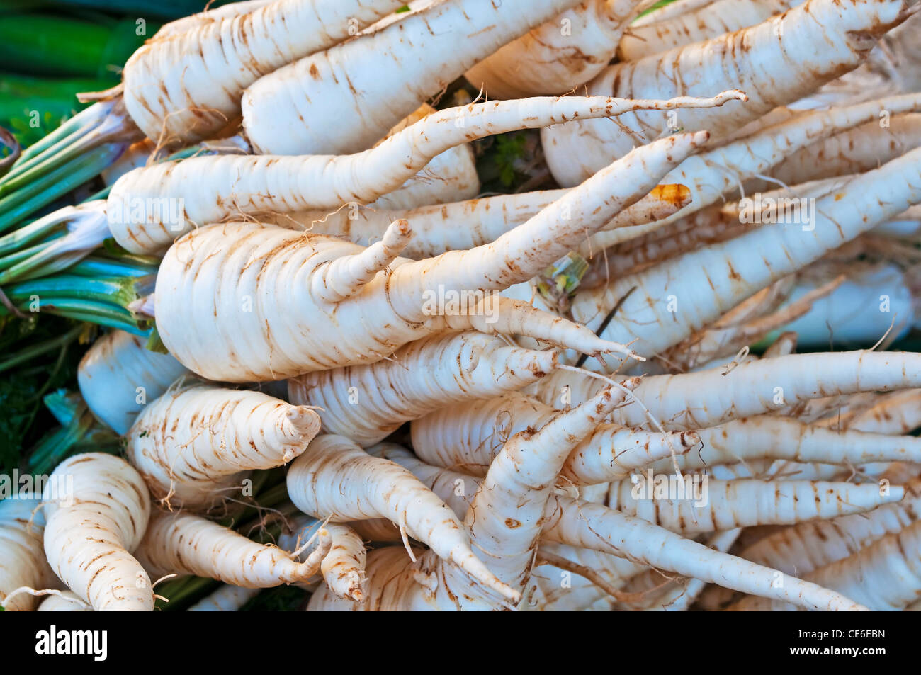 parsley root at a street sale Stock Photo Alamy
