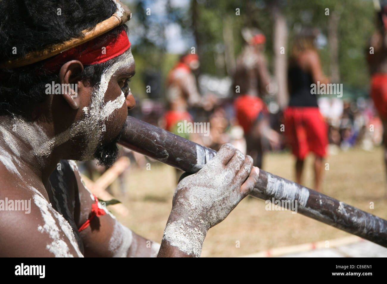 Didgeridoo shop near sale me