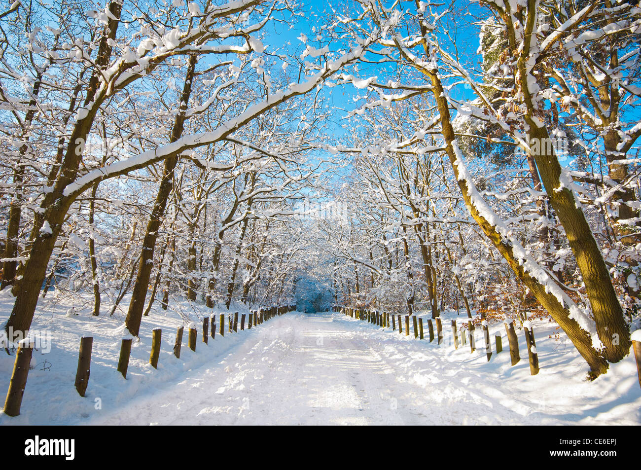 Winter snow, Kent, England, UK Stock Photo