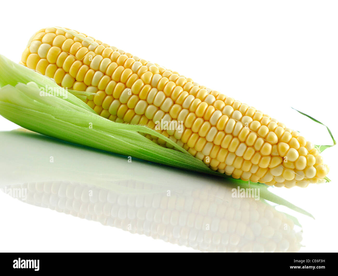 Raw corn cob Cut Out Stock Images & Pictures - Alamy