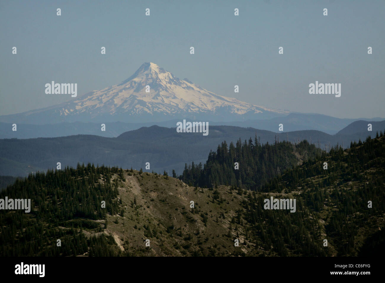 Mount Hood Volcano washington Stock Photo Alamy