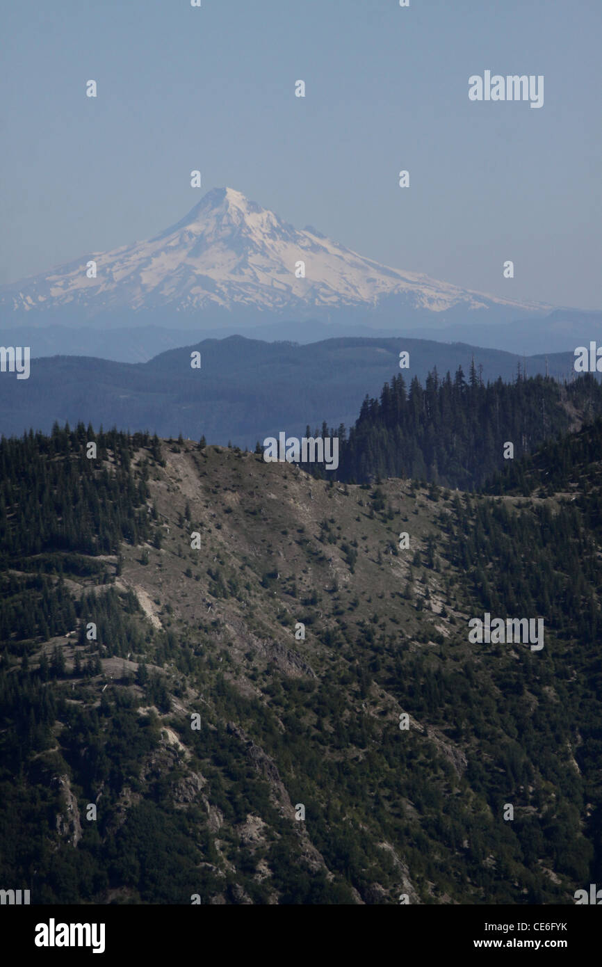 Mount Hood Volcano washington Stock Photo Alamy