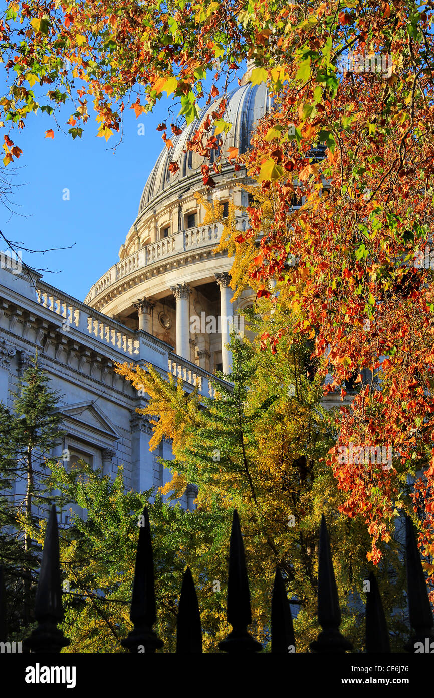 close up of St. Paul's cathedral dome surrounded by trees with golden leaves on a sunny November morning Stock Photo