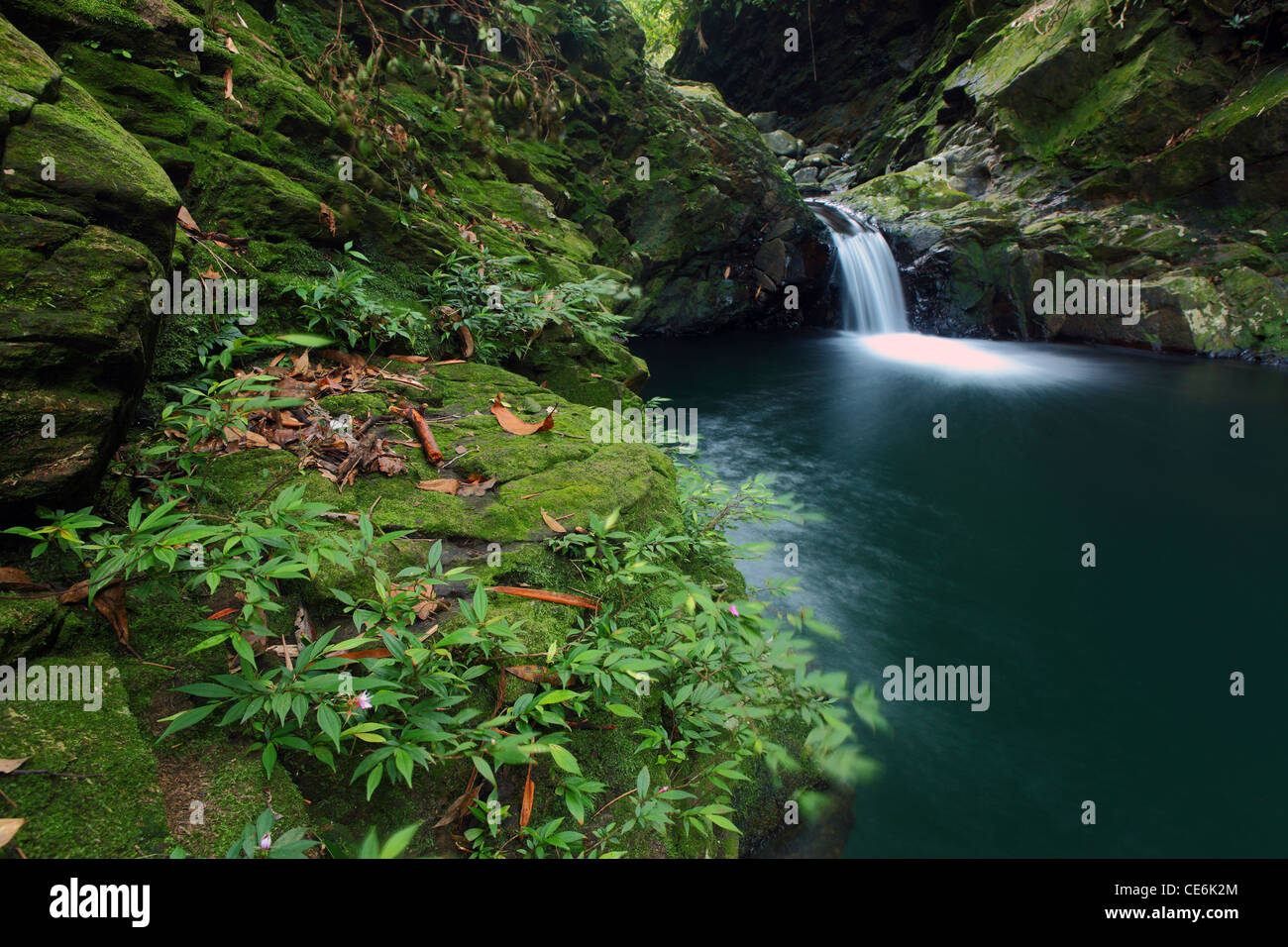 Stream and small waterfall. Bach Ma National Park. Vietnam Stock Photo ...