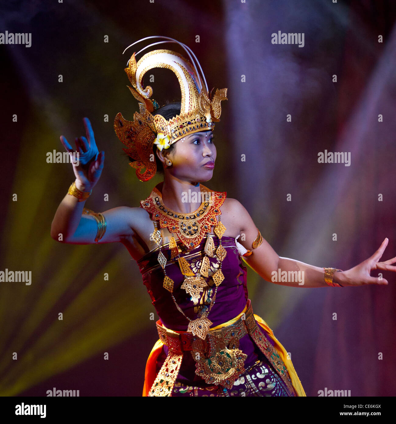 Bird of paradise dance hires stock photography and images Alamy