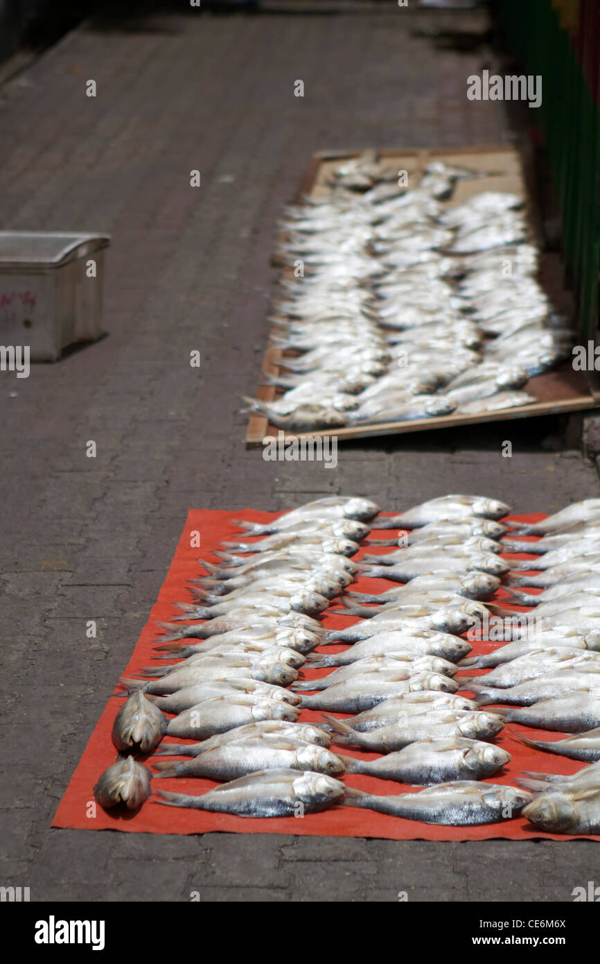 Fish showcase on the floor at a Kota Kinabalu market Stock Photo