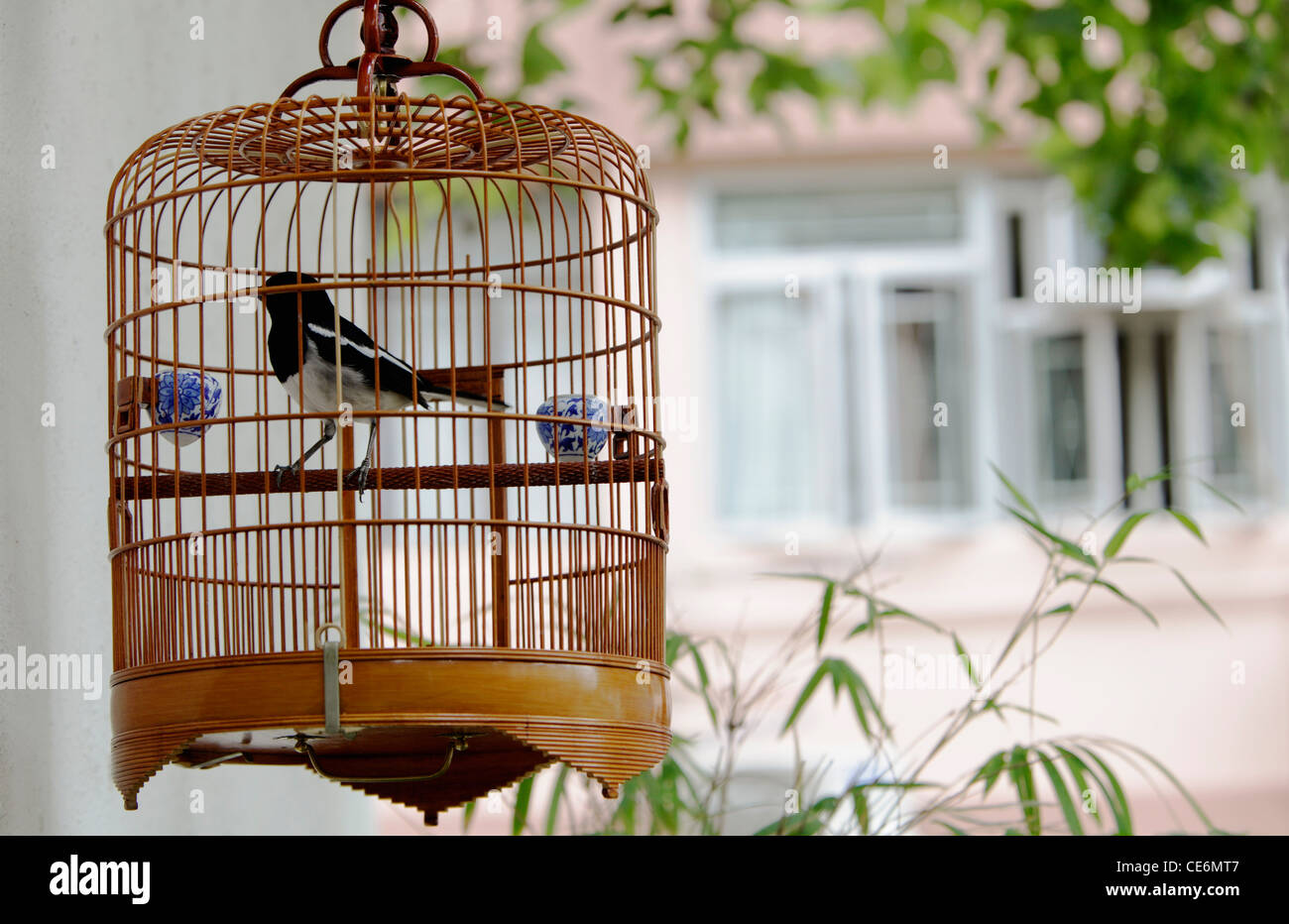 Hanging bird cage hires stock photography and images Alamy