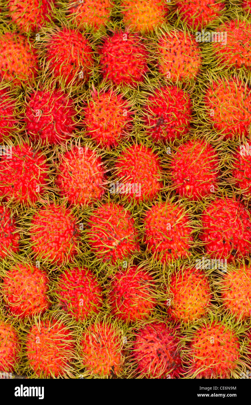 Rambutan fruit hi-res stock photography and images - Alamy