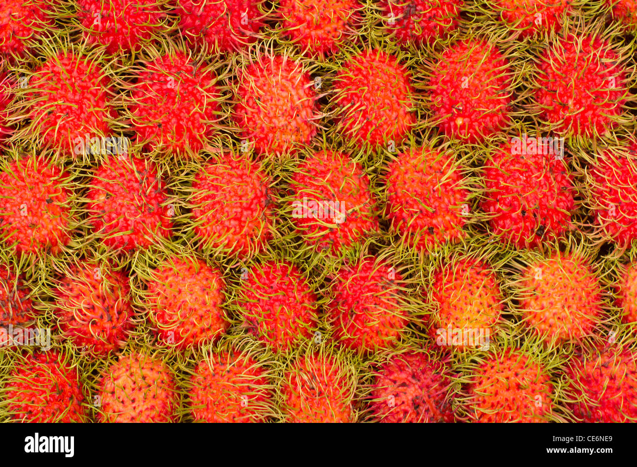 Rambutan fruits hires stock photography and images Alamy