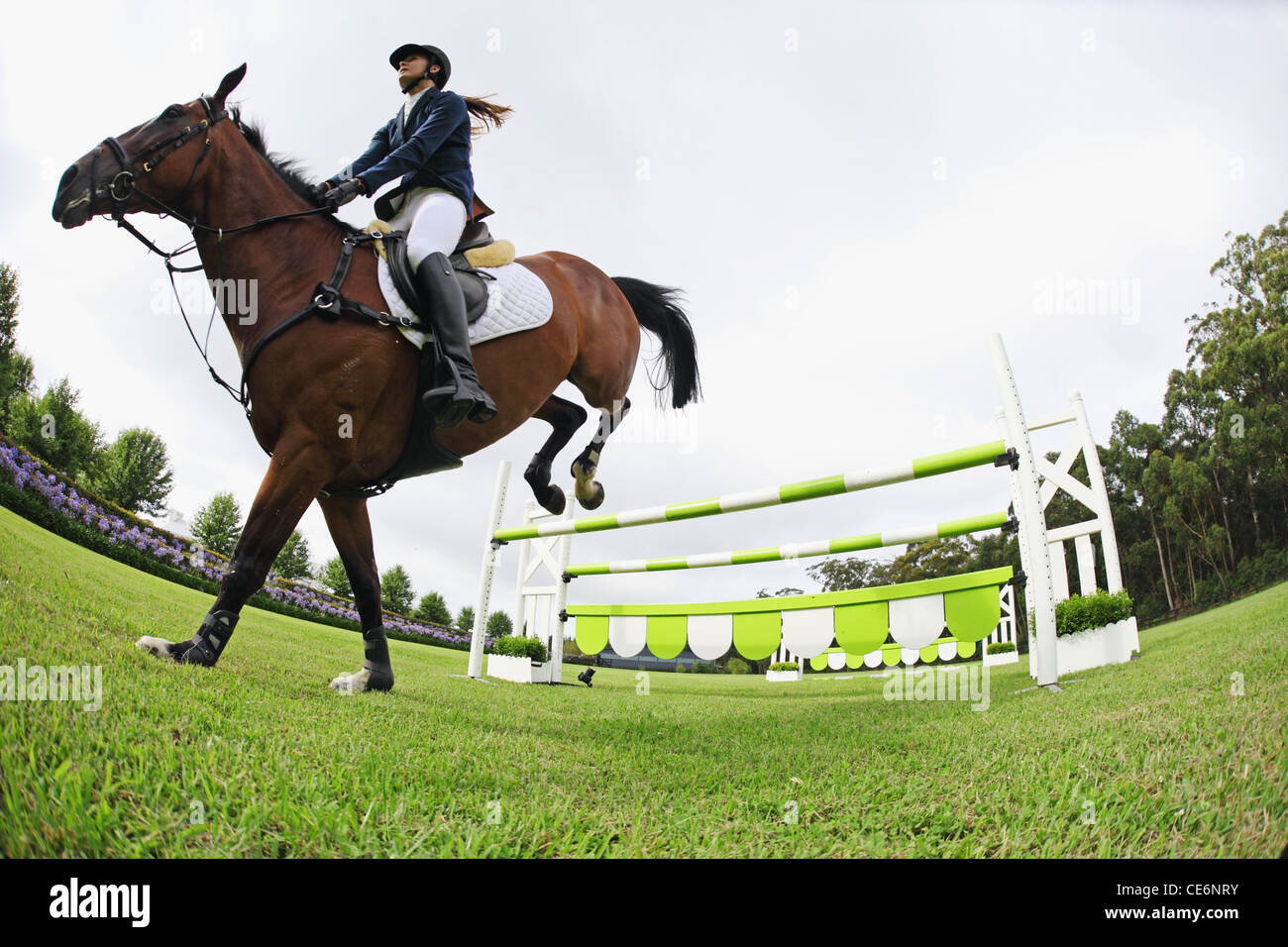 Female Horse-Rider Jumps over the Hurdle Stock Photo