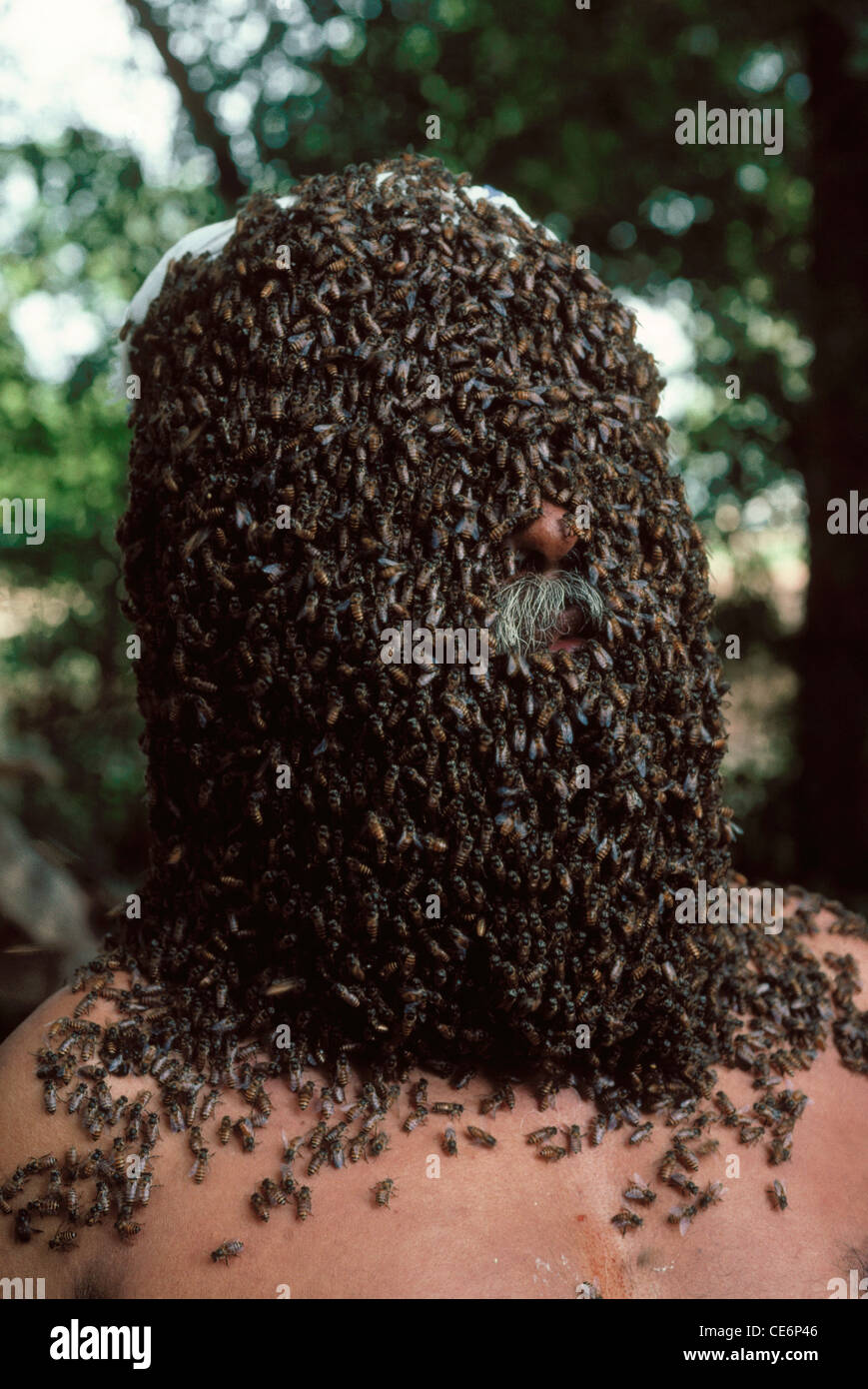 Beekeeper ; honey farmer ; apiarist ; apiculturist ; Indian beekeeper