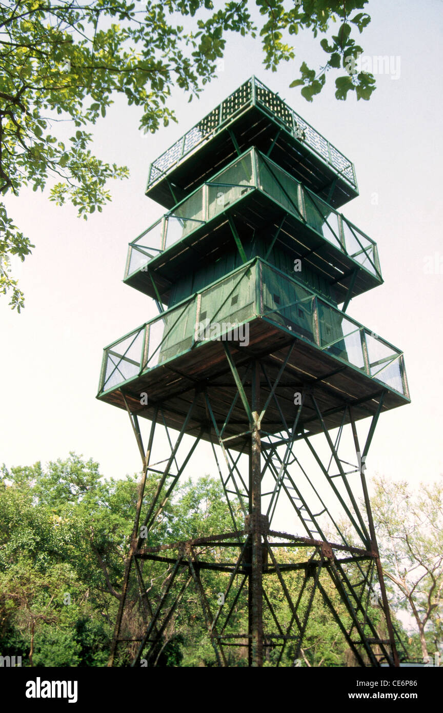 Tree house machan ; Corbett National Park ; Uttar Pradesh ; India Stock