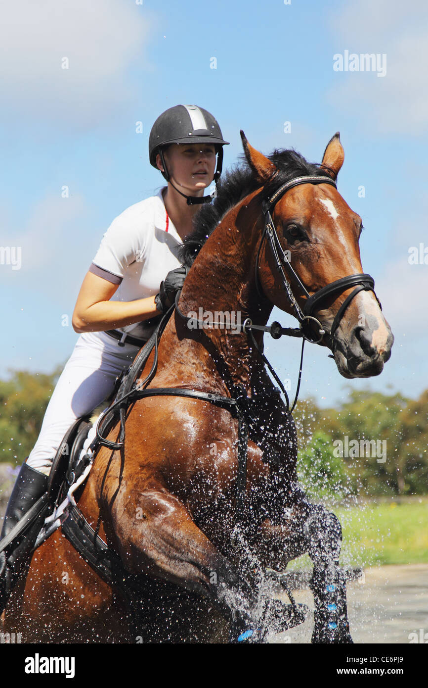 Horse Rider Crossing Water, Equestrian Event Stock Photo
