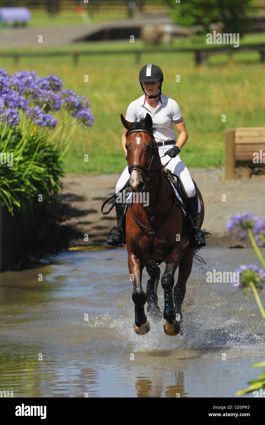 Equestrian crossing hires stock photography and images Alamy