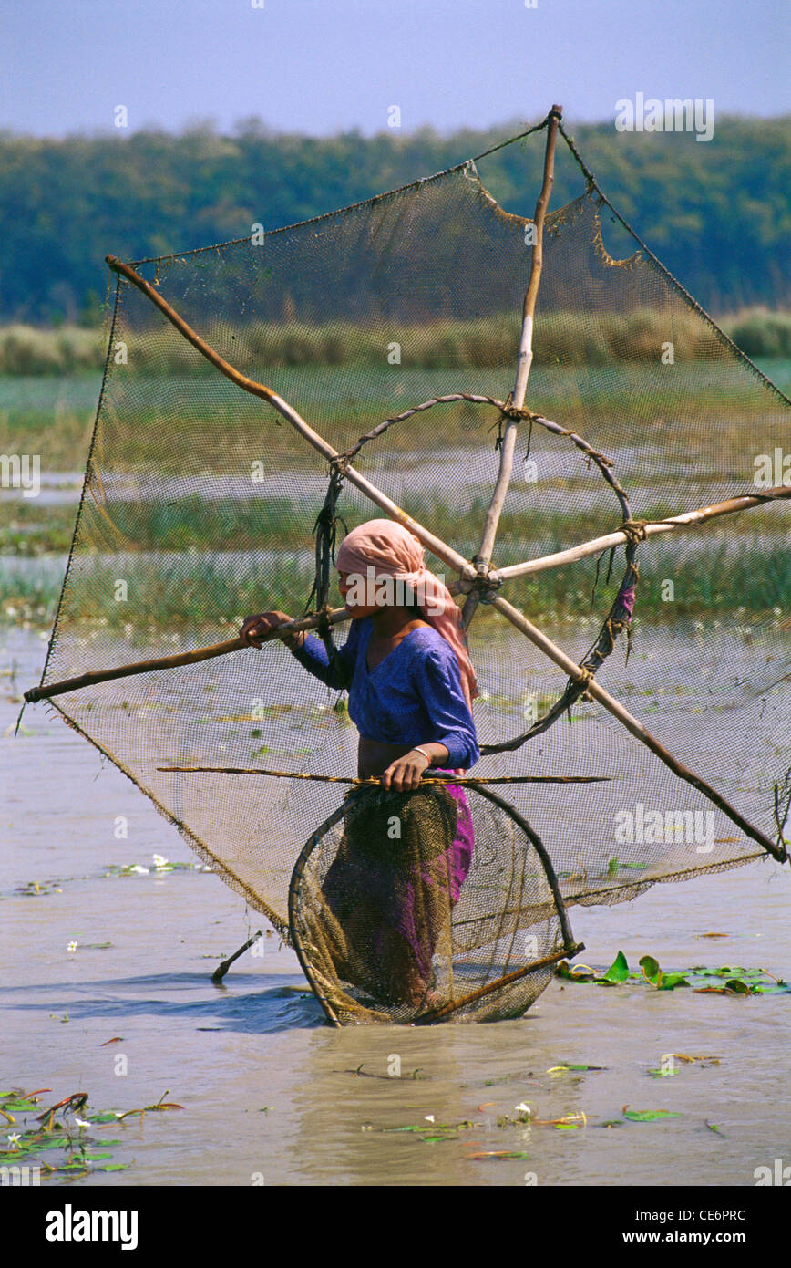 https://c8.alamy.com/comp/CE6PRC/tharu-tribal-fishing-with-nets-dudwa-uttar-pradesh-india-CE6PRC.jpg