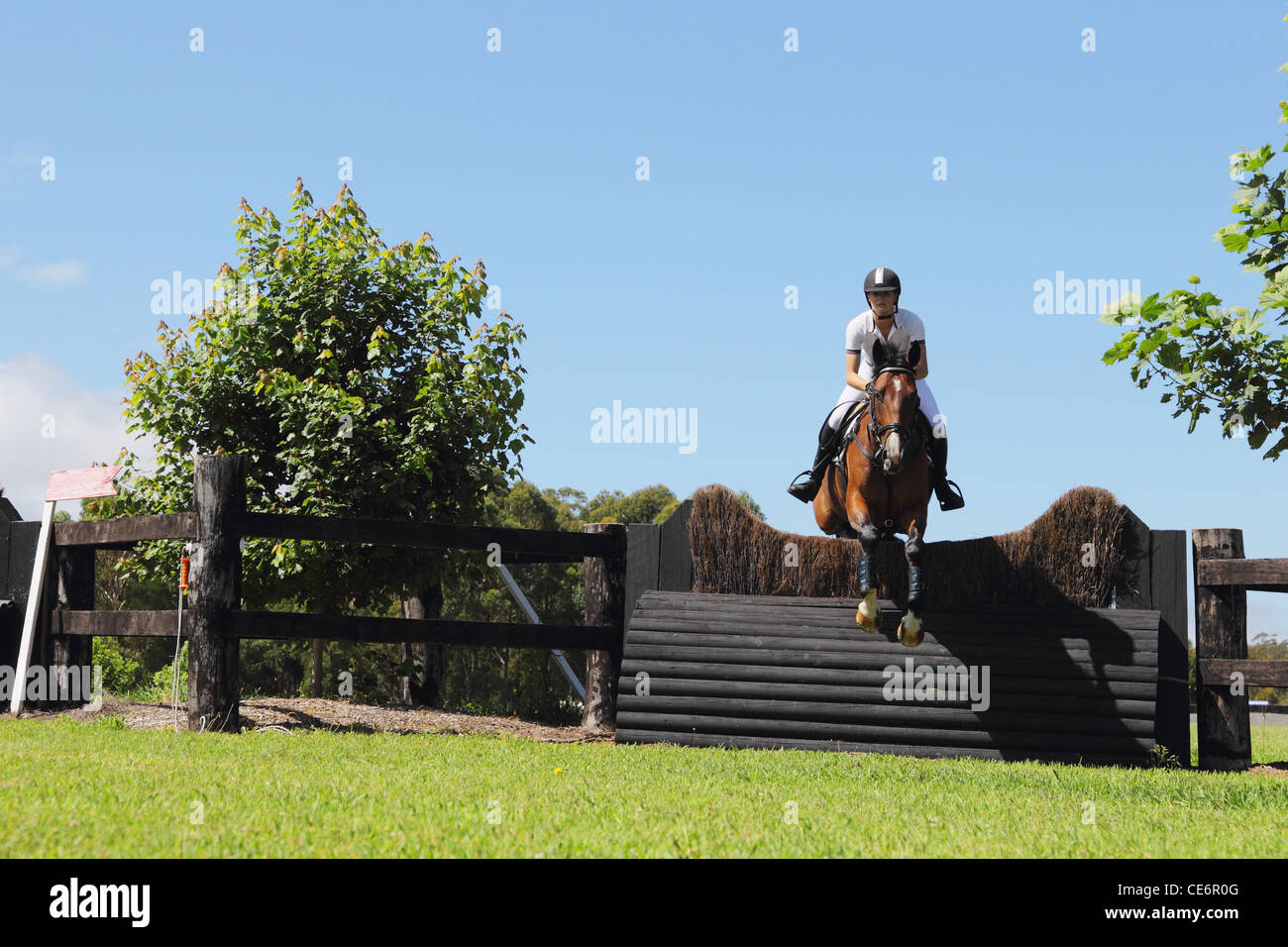 Young Woman Horseback Rider Jumping Hurdle Stock Photo