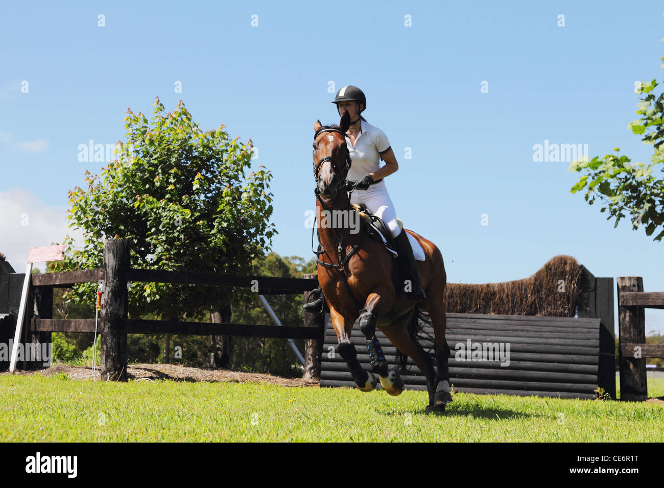 Young Woman Horseback Rider Stock Photo
