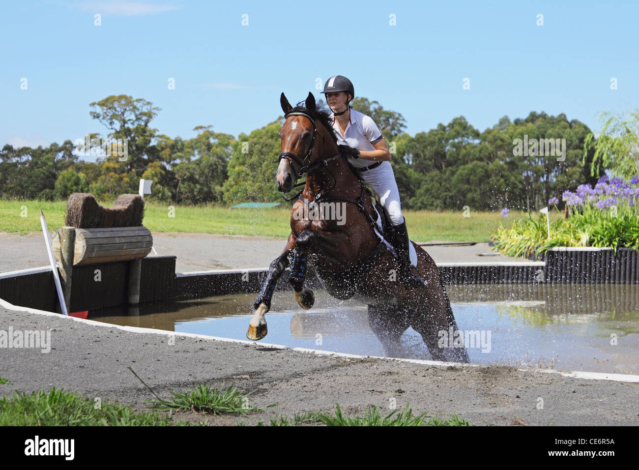 Horse Rider Crossing Water in Equestrian Event Stock Photo