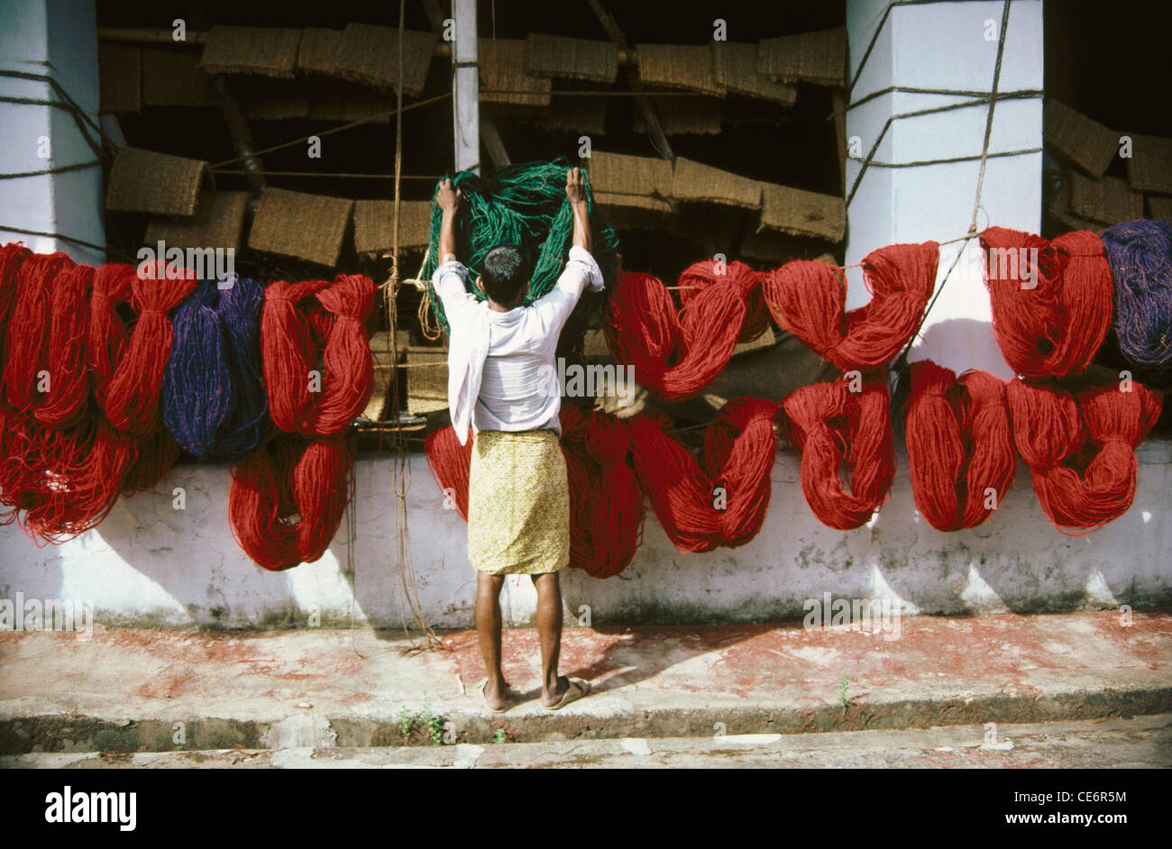 Man drying dyed coir yarn thread in coir factory ; kerala ; india Stock Photo