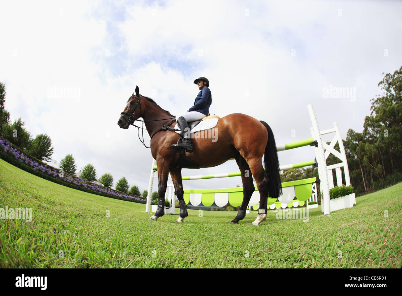 Horseback Rider Stock Photo