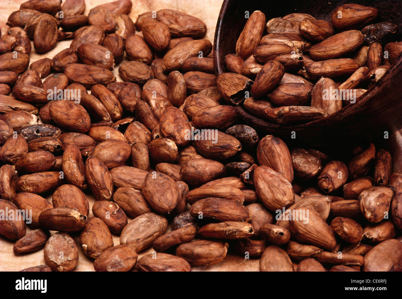 Coco india hires stock photography and images Alamy