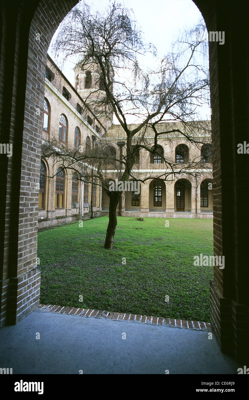 RSC 84905 : forest research institute lone tree in green grass lawn dehradun uttaranchal india Stock Photo