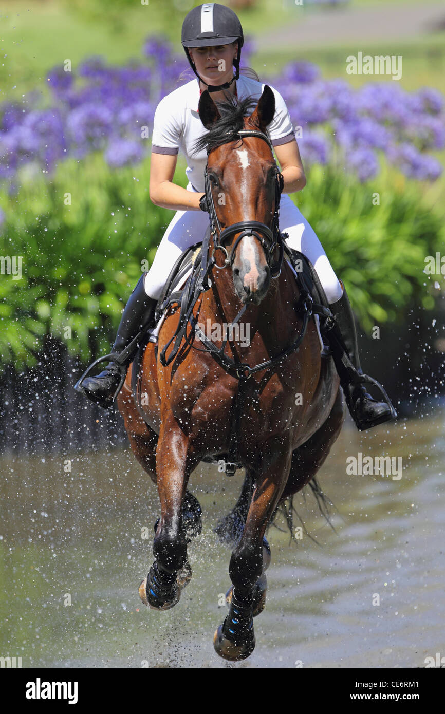 Equestrian crossing hires stock photography and images Alamy