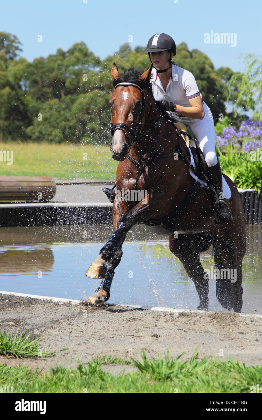 Female Horse Rider,  Equestrian Event Stock Photo