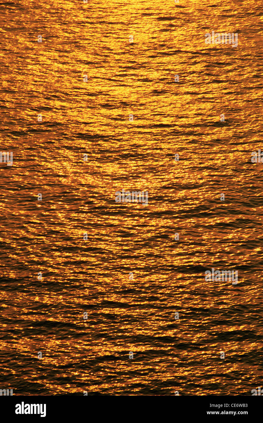 Sparkling Dusk