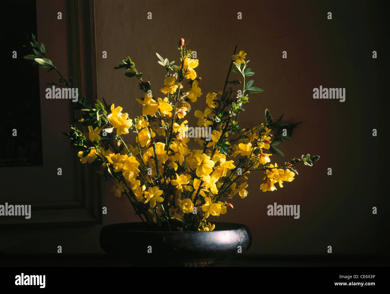 yellow flower arrangement Stock Photo
