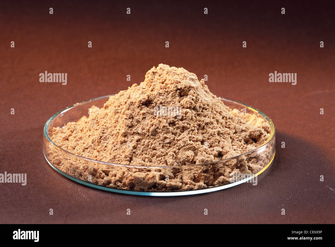 Sandalwood powder in glass dish ; santalum album linn ; chandan powder on brown background ; india ; asia Stock Photo